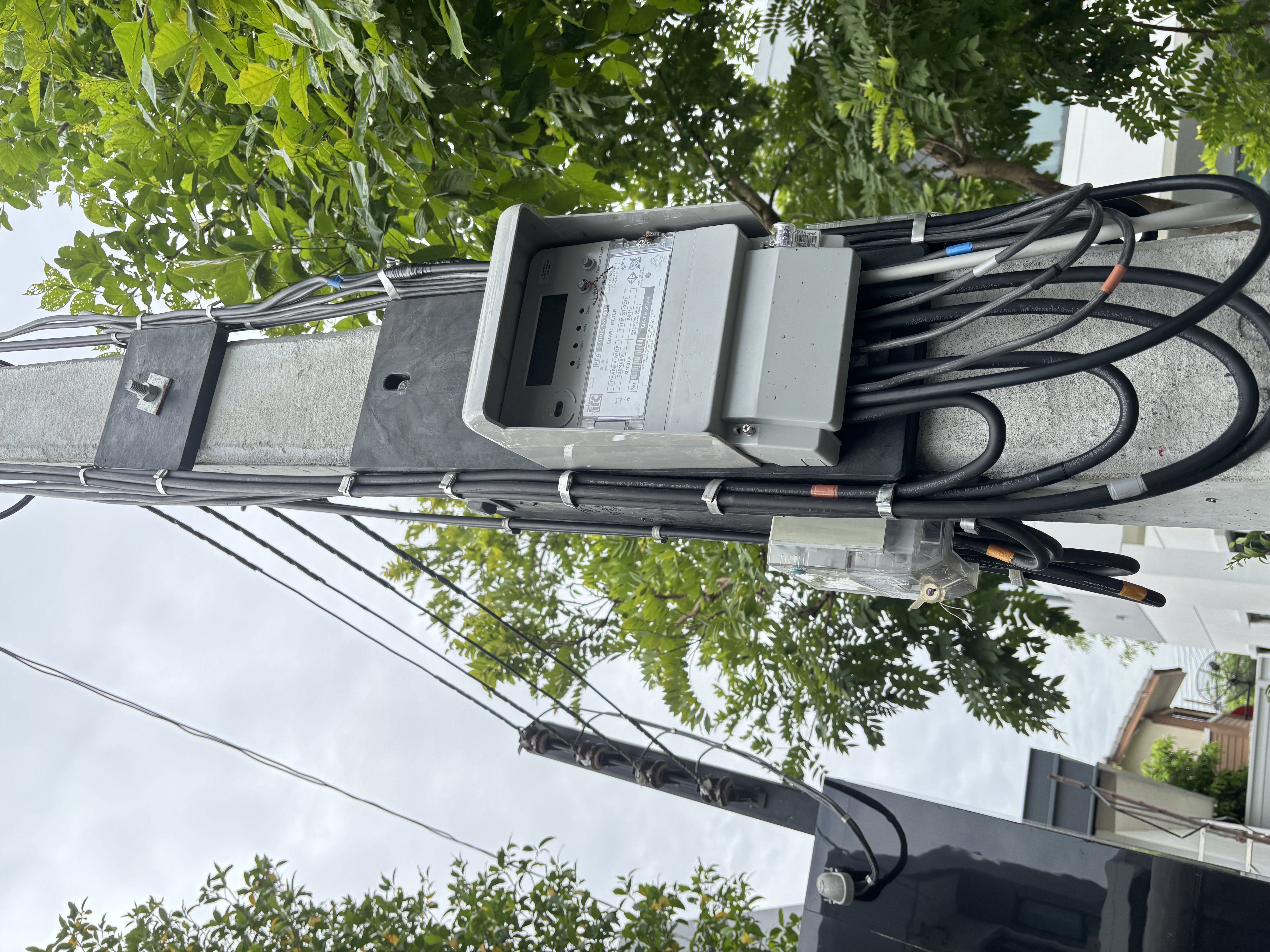 ev งานที่ 8